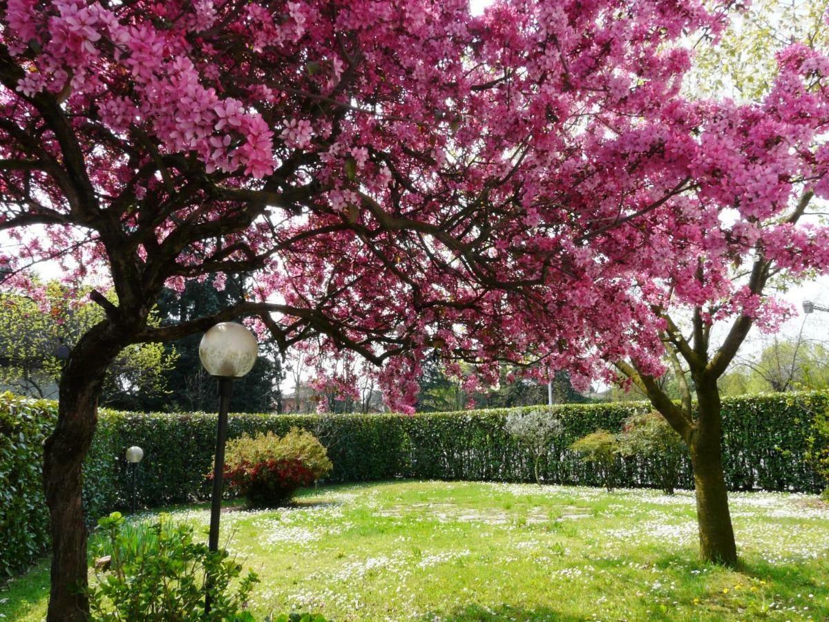 Cassina de' Pecchi In Giardino B&B מראה חיצוני תמונה
